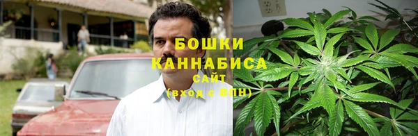ПСИЛОЦИБИНОВЫЕ ГРИБЫ Алзамай
