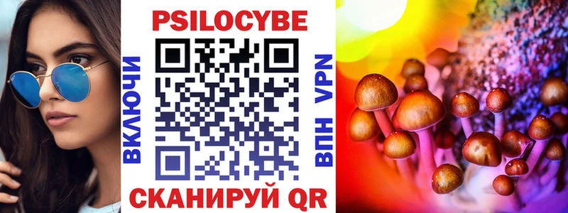 Псилоцибиновые грибы GOLDEN TEACHER  OMG зеркало  Медынь 